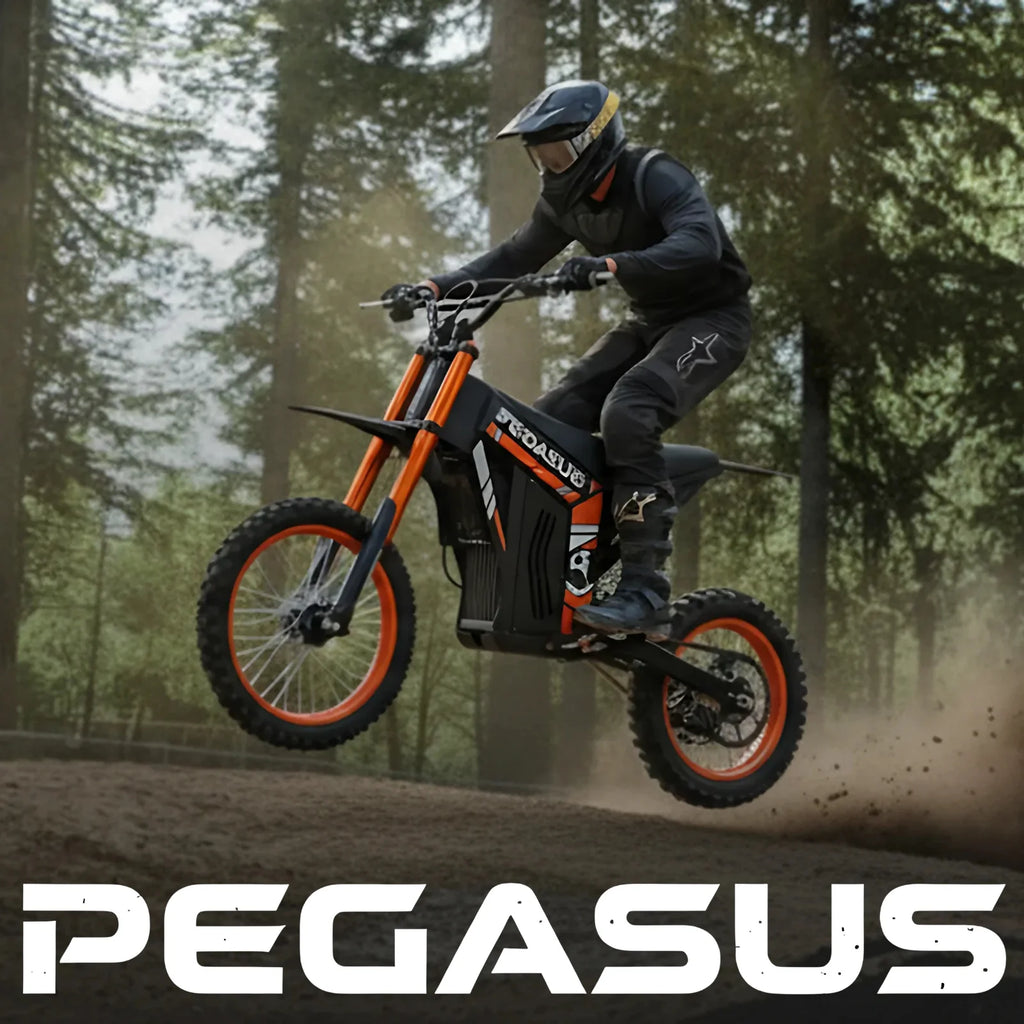 New Fashion2000W 48V 21AH 60km/h Mountain E Motorcycle Aluminum Alloy Dirt Bike 14"/12" Fat Tire Off-road Motorcycles New Energy