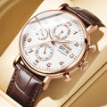 NESUN automatic mechanical men's watch with multi-functional luminous stainless steel case, a classic business men's watch