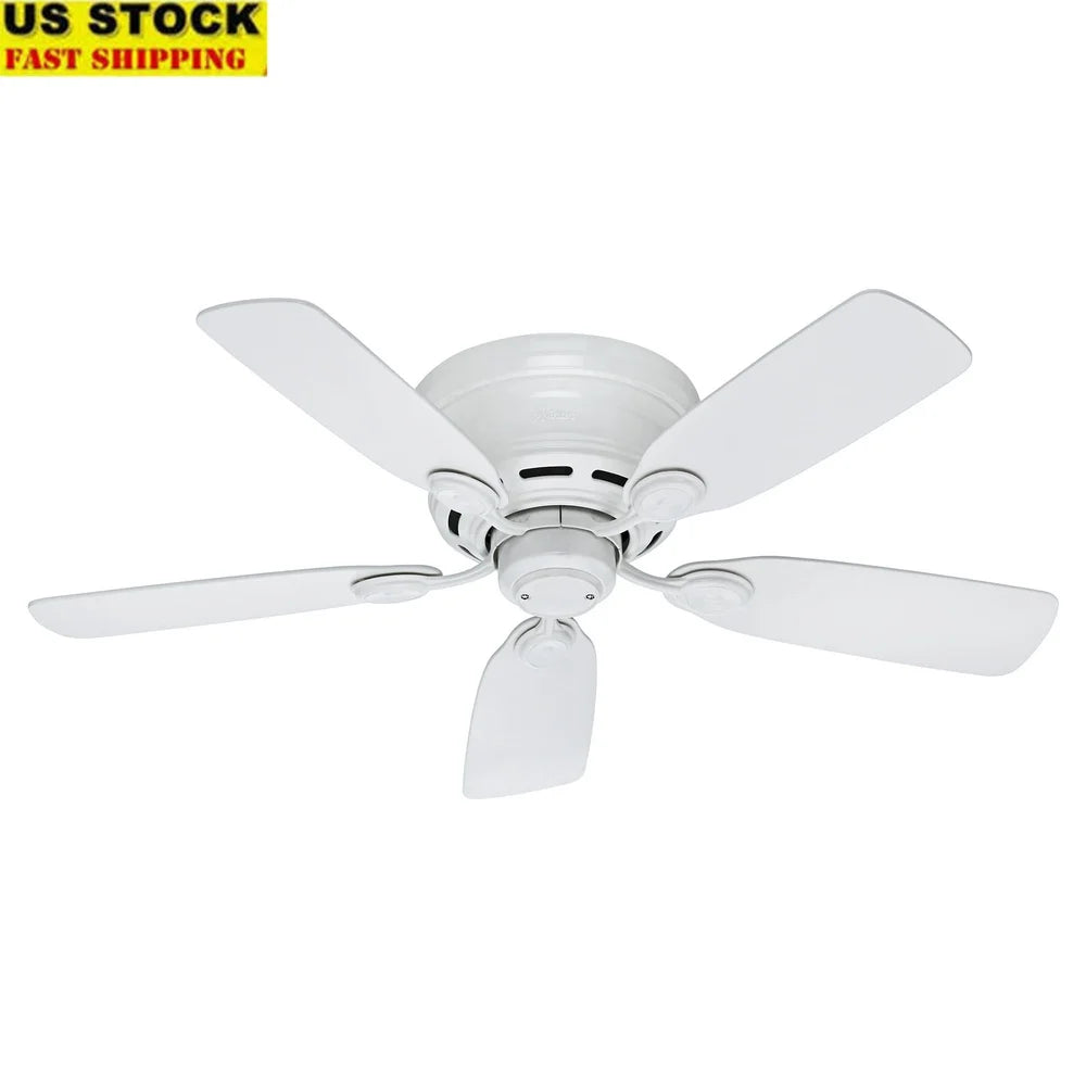 42 Inch Low Profile Ceiling Fan WhisperWind Motor Indoor Use Reversible Blades Strong Airflow 3 Speed Pull Chains Ideal Living