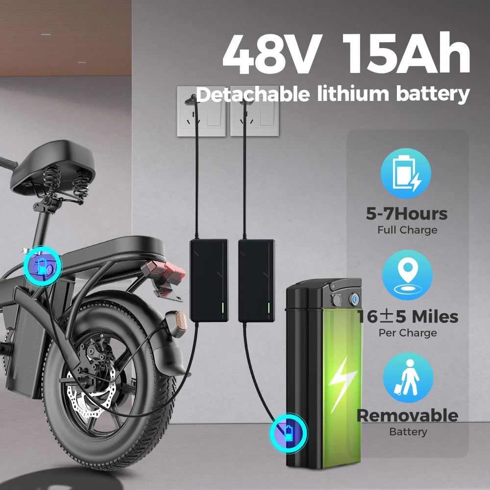 EU Warehouse Electric Bike Bicycle Exercise Electric City Bike E Bike TOOFLY Folding Ebike 250W