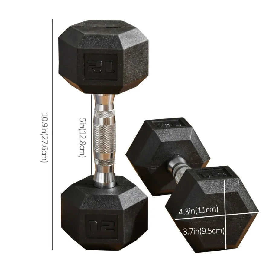 Rubber Dumbbells Weight Set Total 24lbs 12lbs Each Dumbbell Hand Weight for Body Fitness Training for Home Office Gym Black