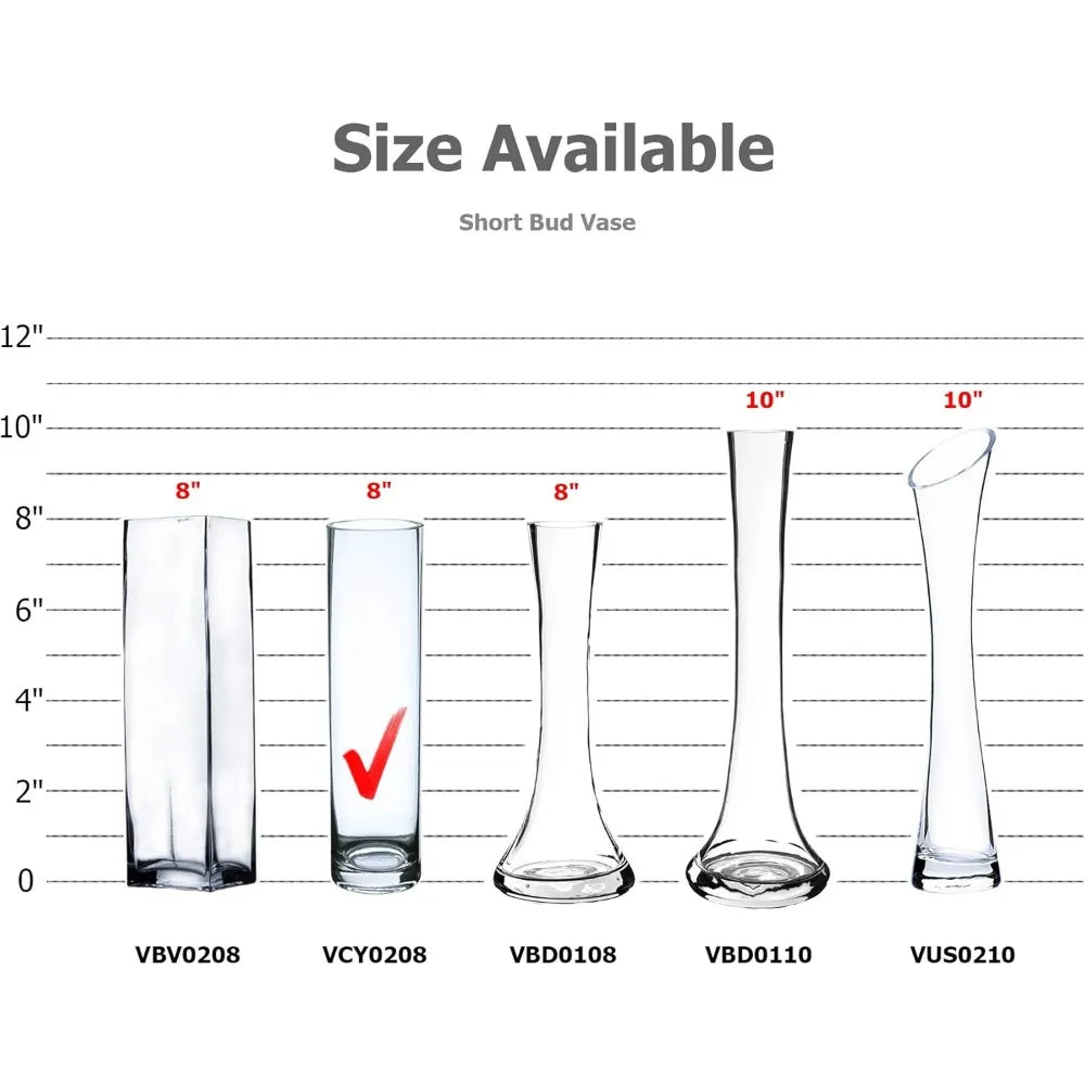Clear Skinny Narrow Hurricane Vases for Wedding Centerpieces, Bulk Floral Containers, Height 8, Width 2, Ideal Standard Glass Cy