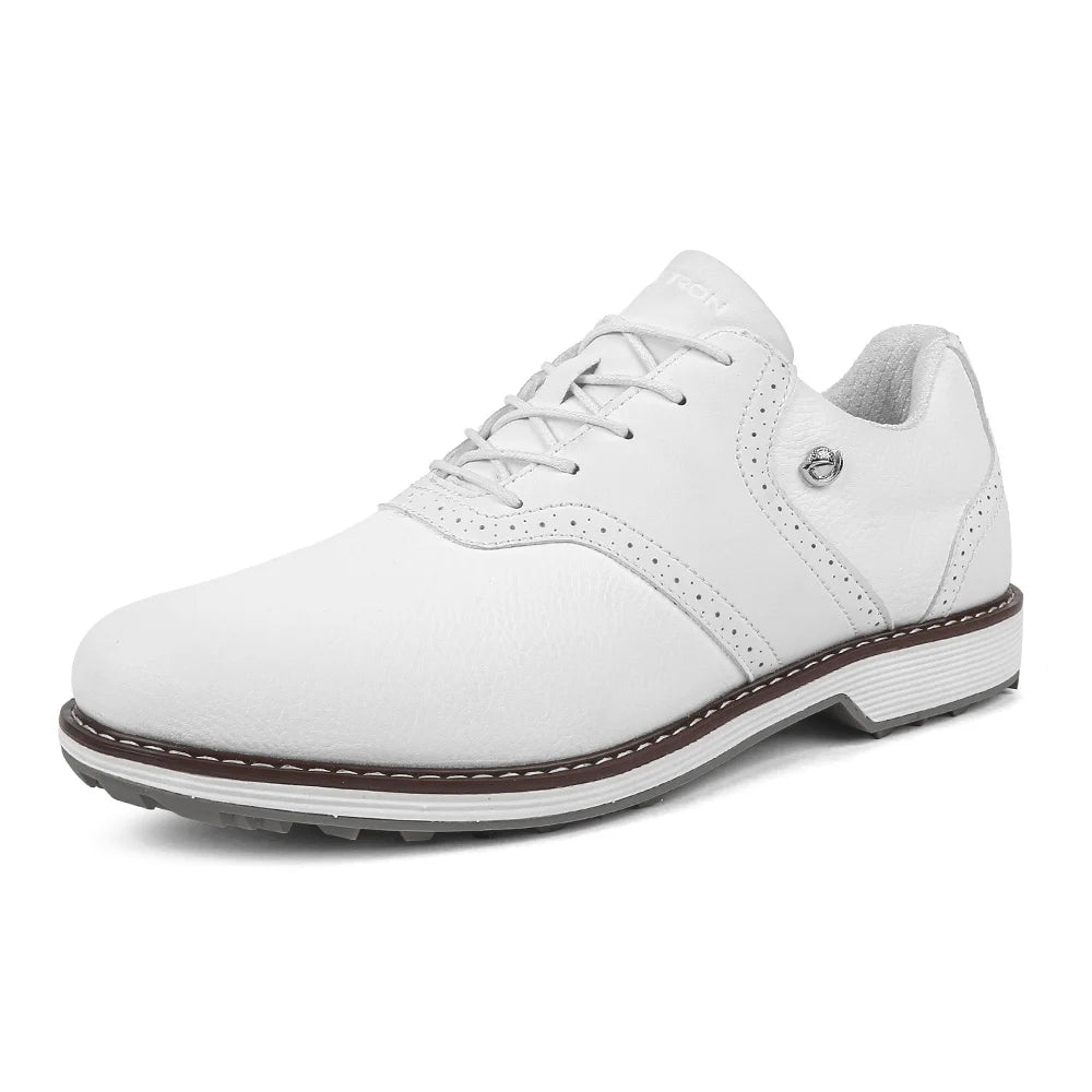 Luxury Men Golf Shoes Professional Golf Sneakers Big Size 39-47 Gym Footwears