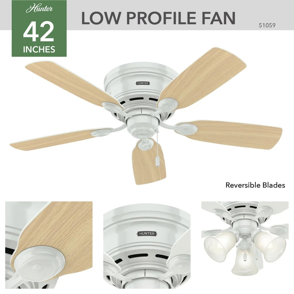 42 Inch Low Profile Ceiling Fan WhisperWind Motor Indoor Use Reversible Blades Strong Airflow 3 Speed Pull Chains Ideal Living