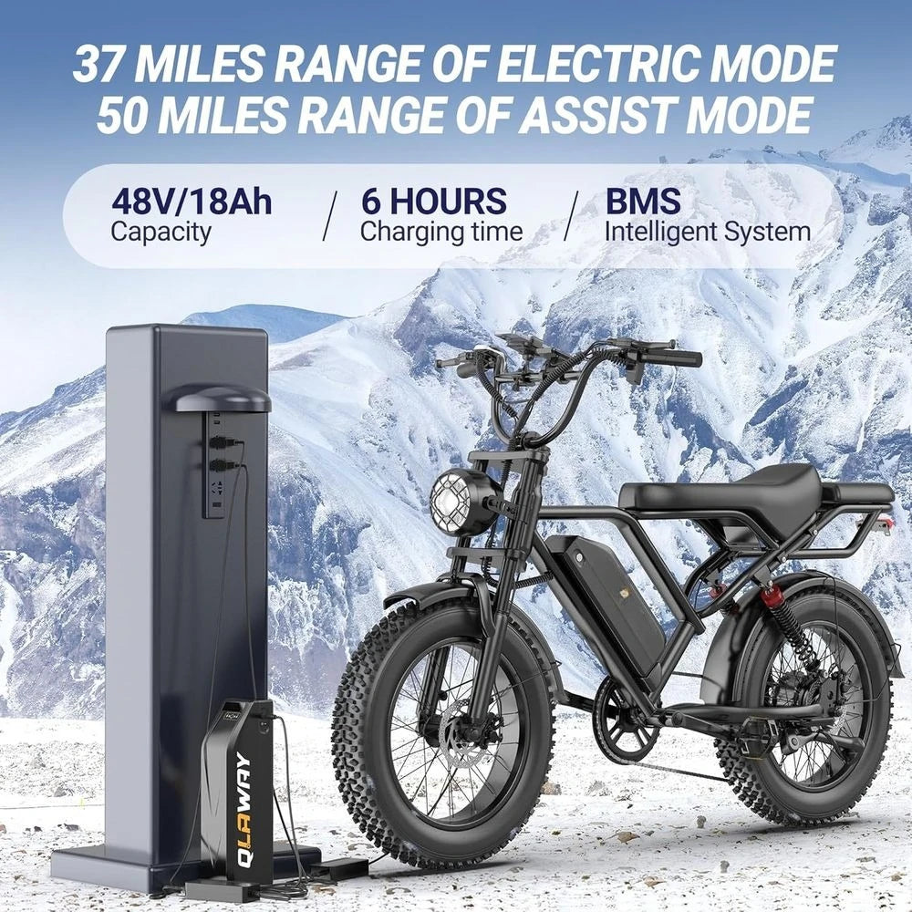 Adult Fat Tire Electric Dirt Bike - 500W/750W, 48V 13.5AH/18AH Battery, 16/20 Tires, Up to 31MPH, 40-70 Mile Range，Customized