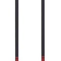 PRO Trek Poles PRO Trek Poles