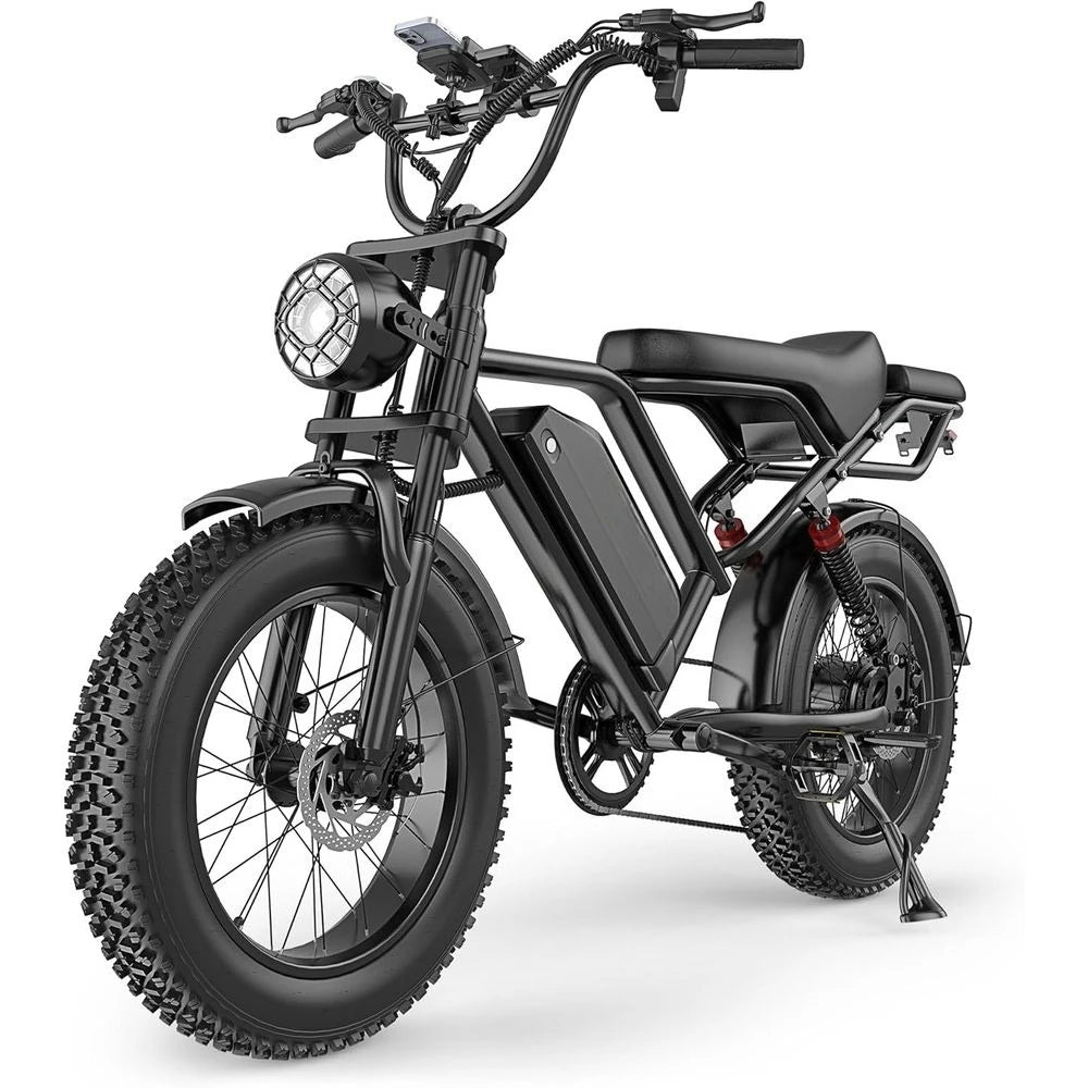 Adult Fat Tire Electric Dirt Bike - 500W/750W, 48V 13.5AH/18AH Battery, 16/20 Tires, Up to 31MPH, 40-70 Mile Range，Customized