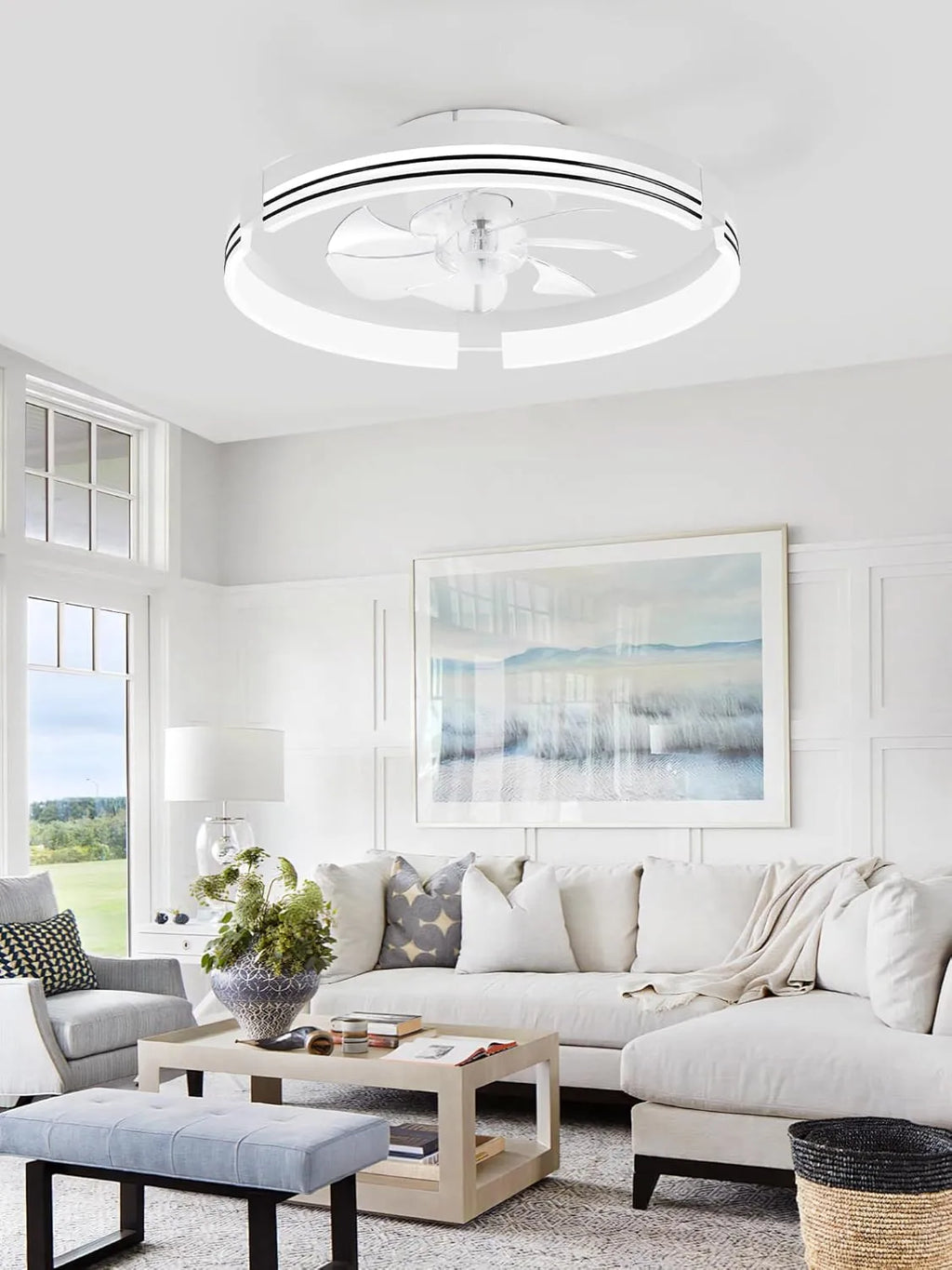 Low Profile Ceiling Fans with Lights and Remote, 20 Inch Flush Mount Ceiling Fan