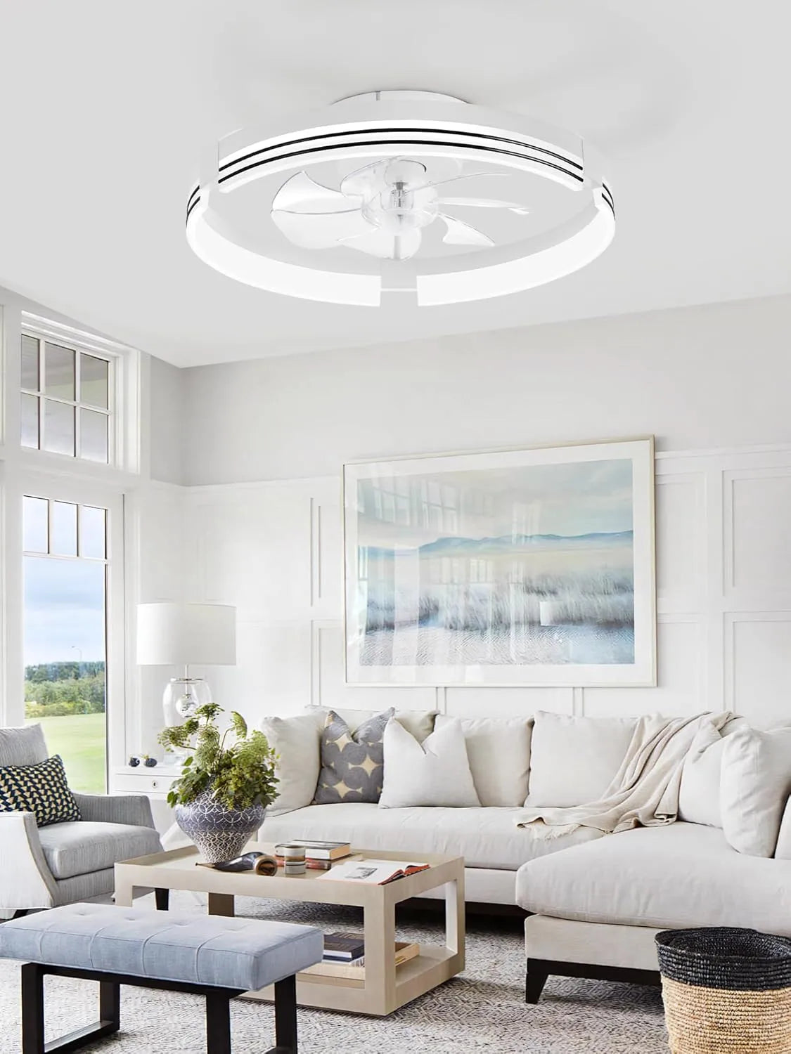 Low Profile Ceiling Fans with Lights and Remote, 20 Inch Flush Mount Ceiling Fan