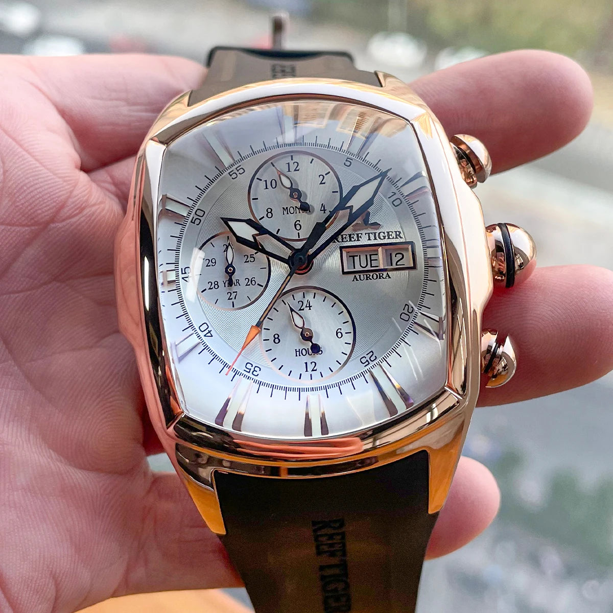 reef tiger brand men's fully automatic mechanical watches, business men's watches, fashionable men's sports watches, Valentine's