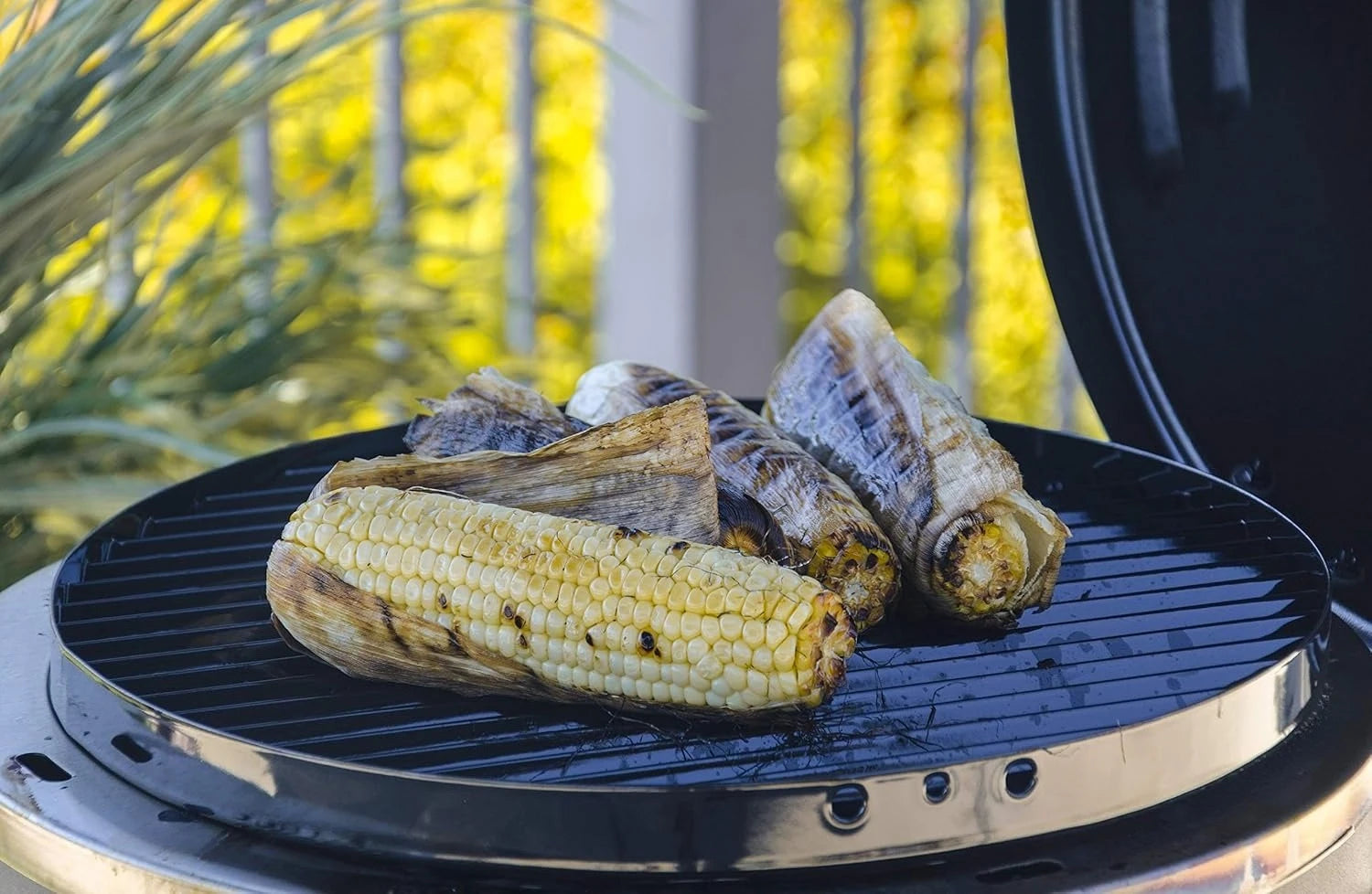 ZZZ-3-in-1 Smoker, Roaster & Gas Grill, Black - 14101550