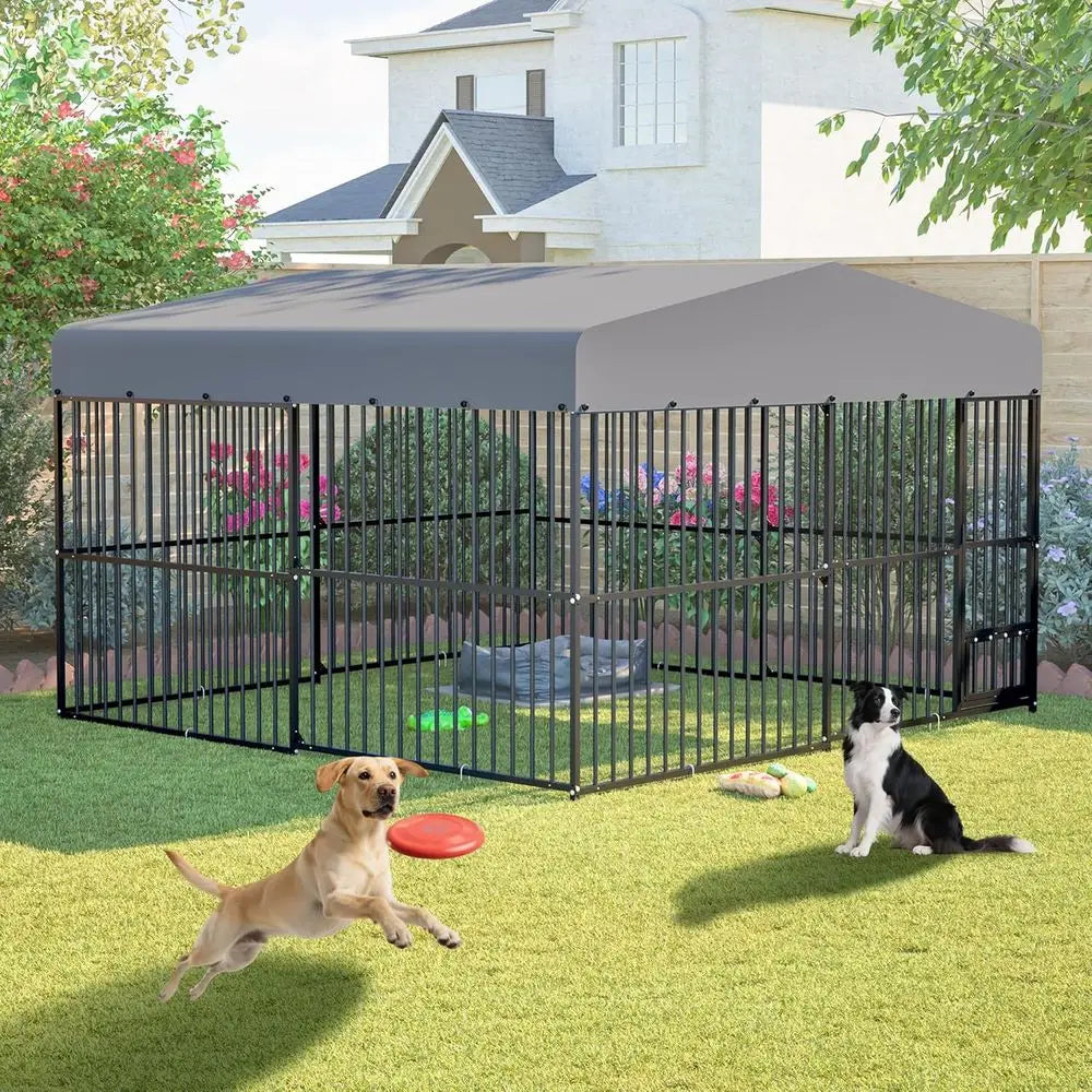 Large 10x10x6 Outdoor Dog Cage, Heavy-Duty Steel Kennel with Rust-Proof Galvanizing and Safety Lock