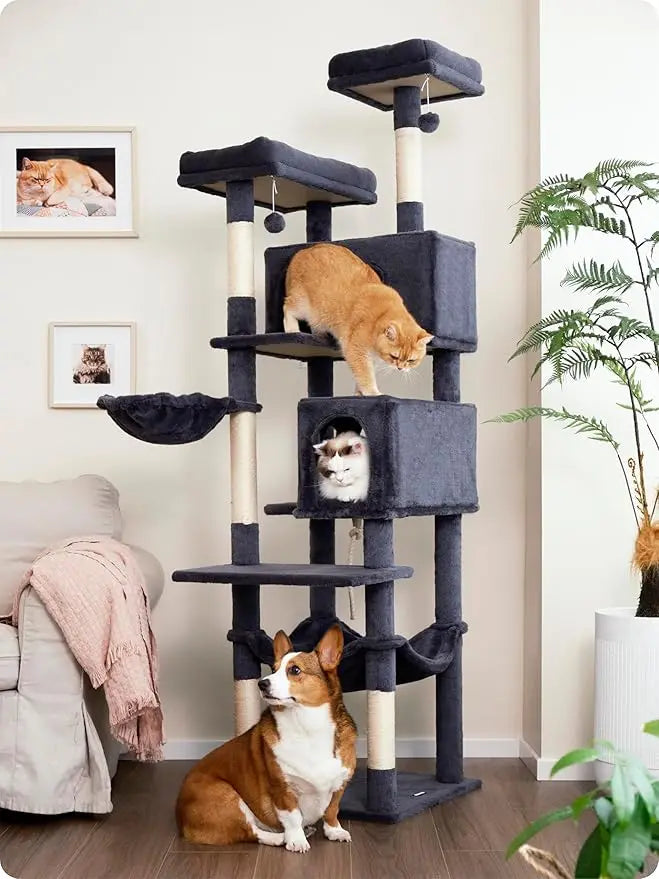 Cat Tree,73.6 inch Tall Cat Climbing Tower for Large Cat Indoor with 2 Large Condos,2 Widened Perches, Sisal Covered Scratching