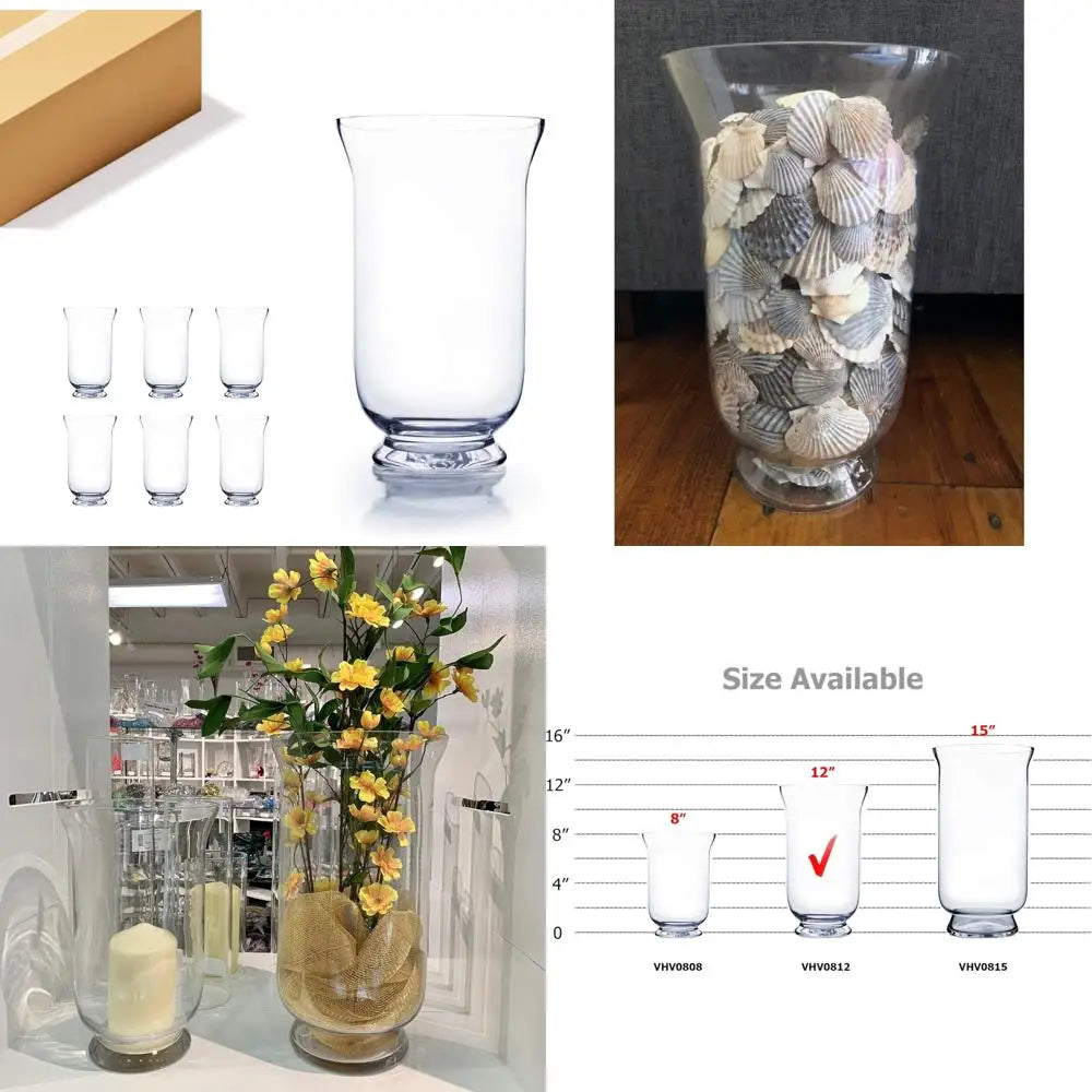 Clear Glass Hurricane Vases Bulk, 7 Wide, 12 Tall, Short Candle Holders, Ideal for Floral Arrangements, Planters, Terrariums, Ho