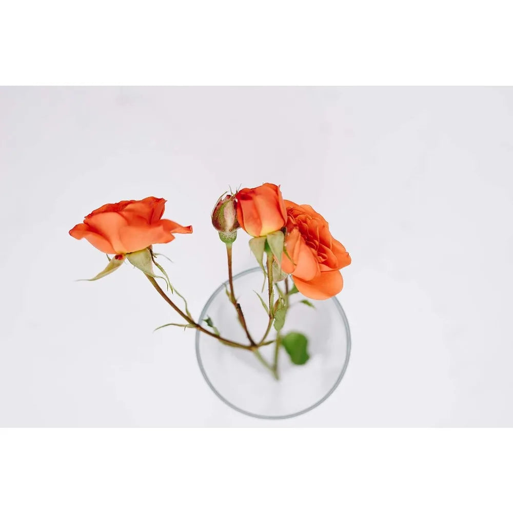 Clear Skinny Narrow Hurricane Vases for Wedding Centerpieces, Bulk Floral Containers, Height 8, Width 2, Ideal Standard Glass Cy