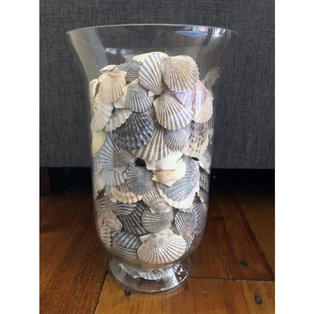 Clear Glass Hurricane Vases Bulk, 7 Wide, 12 Tall, Short Candle Holders, Ideal for Floral Arrangements, Planters, Terrariums, Ho