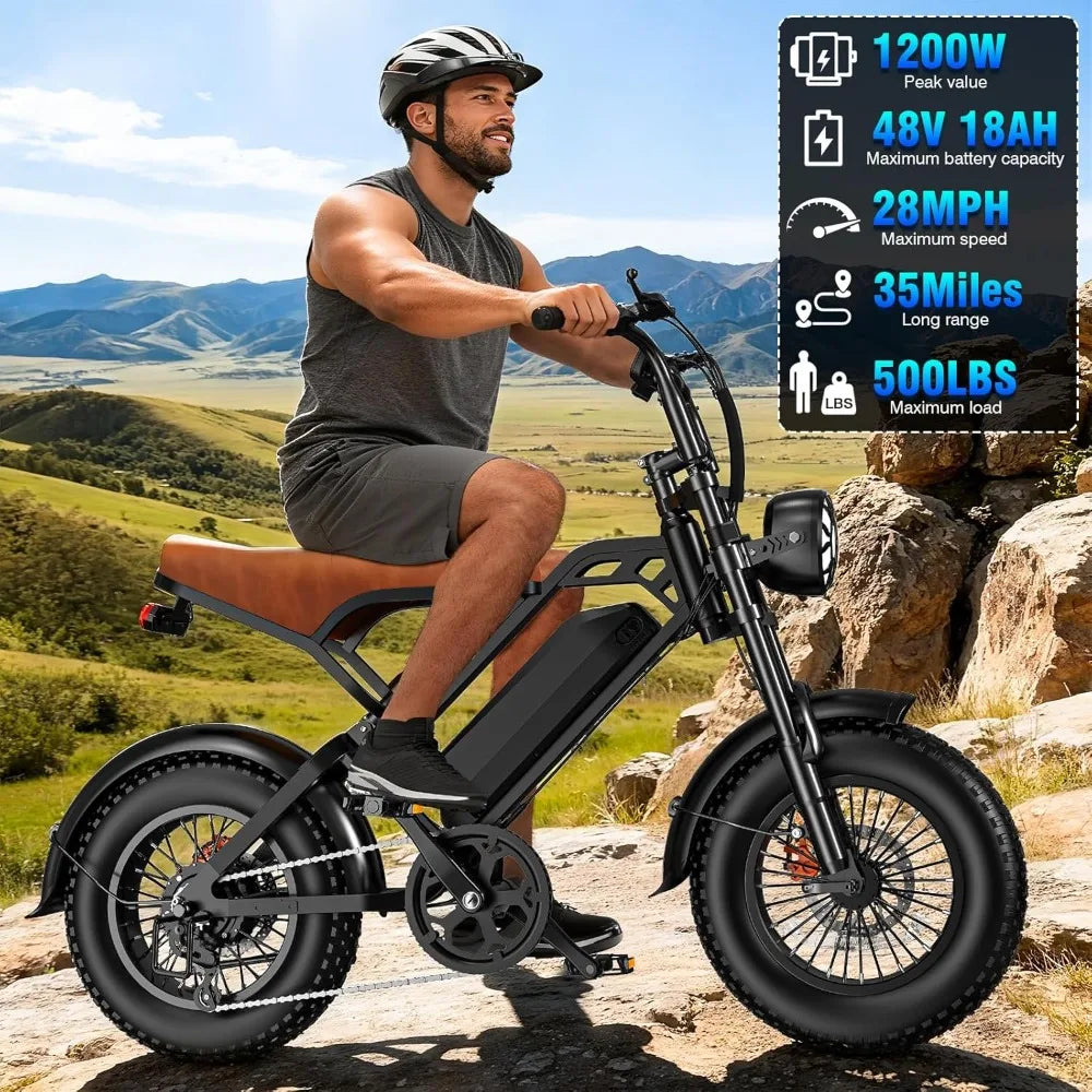 Electric Bike for Adults and Teens, 560W Motor 24MPH Compact Commuter Folding Ebike,32 Miles Range, 48V 10Ah Battery, Customized