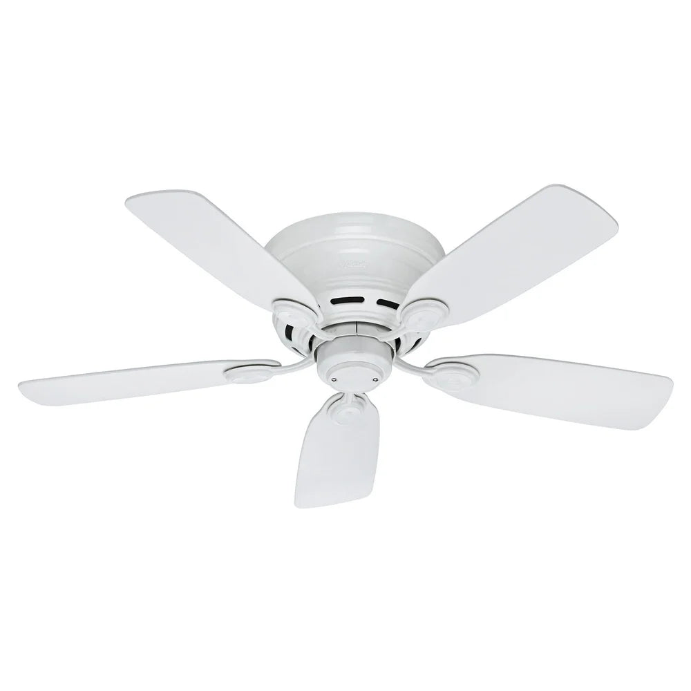 42 Inch Low Profile Ceiling Fan WhisperWind Motor Indoor Use Reversible Blades Strong Airflow 3 Speed Pull Chains Ideal Living