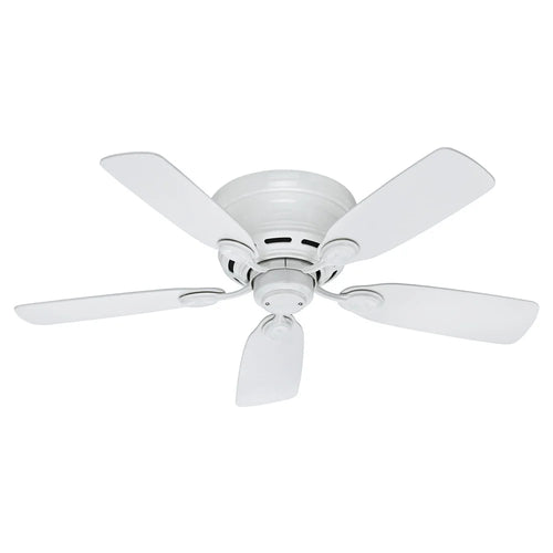 42 Inch Low Profile Ceiling Fan WhisperWind Motor Indoor Use Reversible Blades Strong Airflow 3 Speed Pull Chains Ideal Living